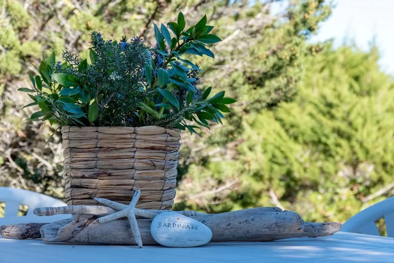 Villa Pelosa Stintino Holiday home